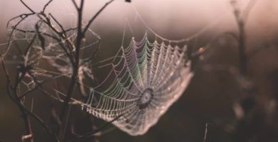 La Leyenda de la Abuela Araña
