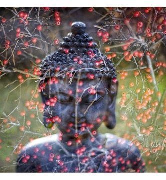 ¿Qué es la Glándula Pineal?