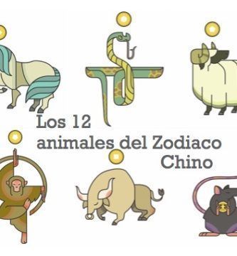 ¿Qué dice tu signo chino sobre ti?
