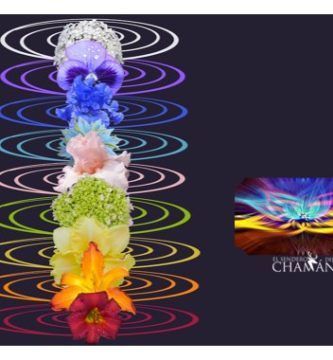 La Alineación de los 7 Chakras con Hierbas y Plantas