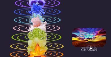 La Alineaci&oacute;n de los 7 Chakras con Hierbas y Plantas