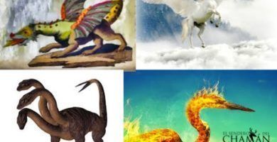 Los Animales m&iacute;sticos de cada signo