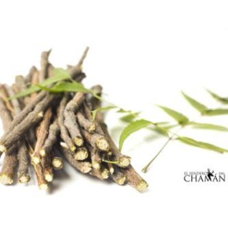 Qué es Ayurveda