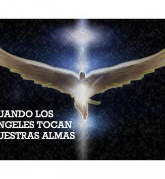 Angeles en la Tierra