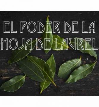 La Hoja de Laurel