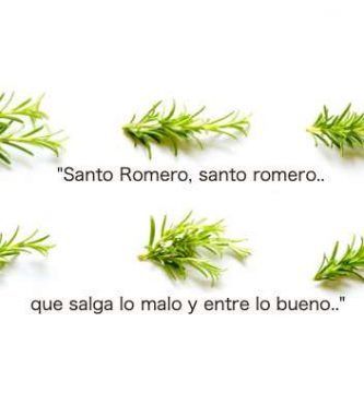 Protección con Romero